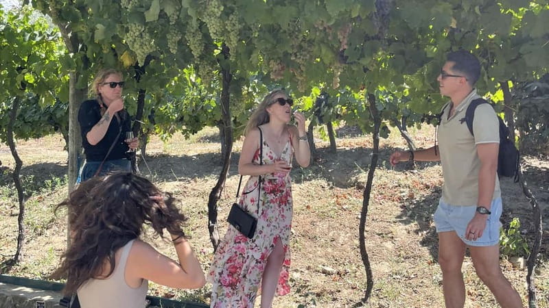 From Porto: Tastings at 2 Wineries, Chef's Lunch & Boat Tour - Eleven wines, olive oil, and fire-opened Port