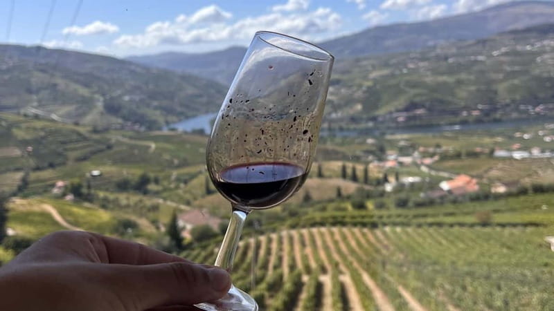 From Porto: Tastings at 2 Wineries, Chef's Lunch & Boat Tour - What makes the guides important