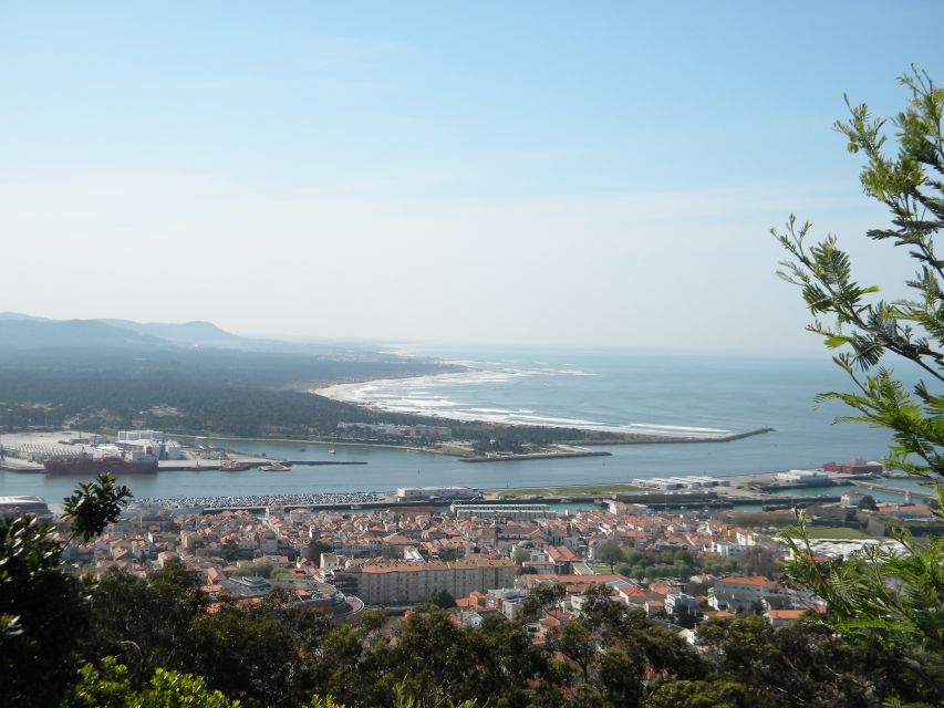 From Porto: Viana Castelo and Ponte Lima Private Tour - What the private guide adds