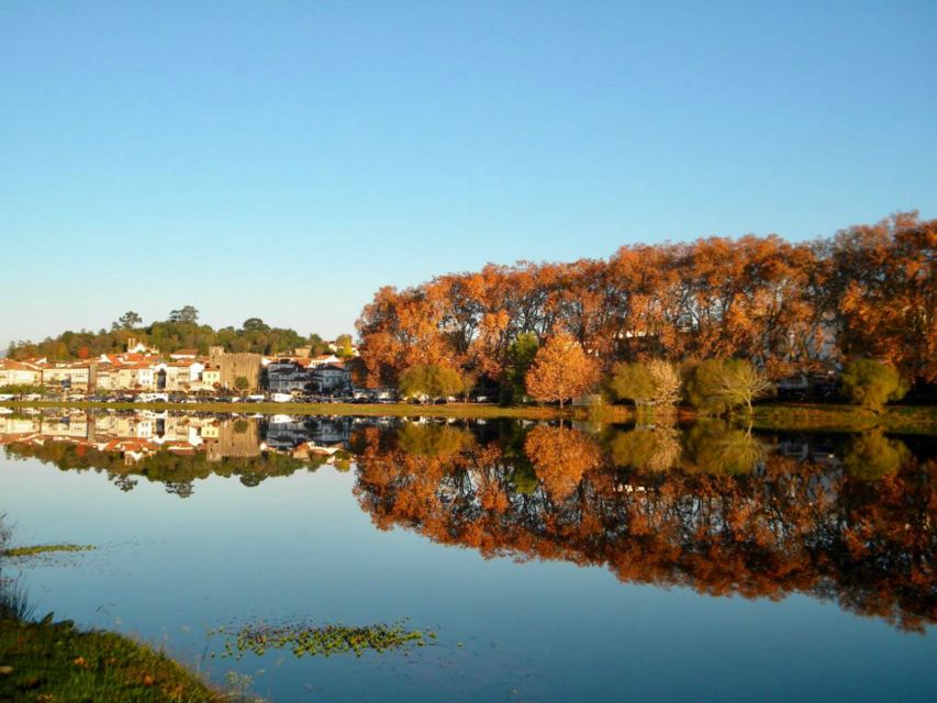 From Porto: Viana Castelo and Ponte Lima Private Tour - Timing, comfort, and the price question
