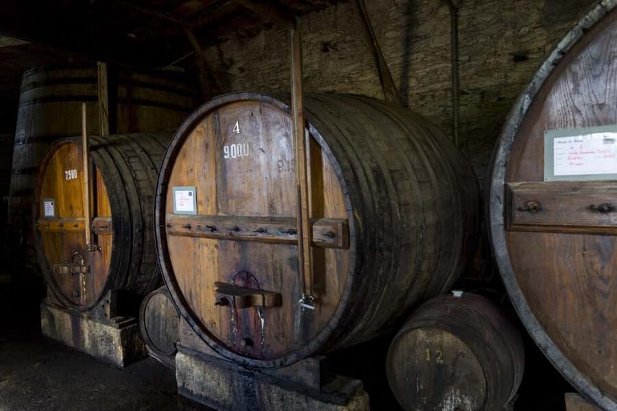 From Porto: Wine Tasting with Lunch at a Quinta, Cruise, and Train Ride - A full day from Porto into the Douro