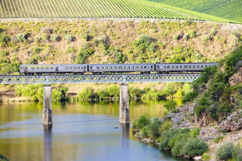 From Porto: Wine Tasting with Lunch at a Quinta, Cruise, and Train Ride - Lunch at Quinta da Laceira