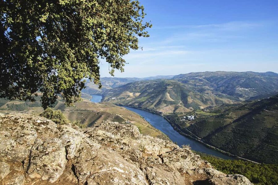 From Porto: Wine Tasting with Lunch at a Quinta, Cruise, and Train Ride - My verdict: a strong first look at the Douro