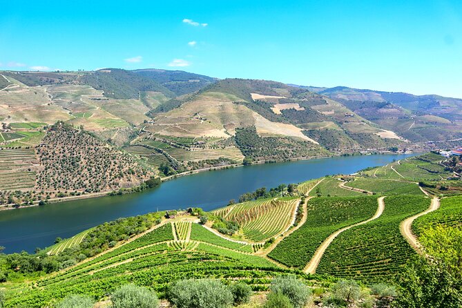 Genuine Douro Valley Tour: Visit 2 Wineries, Lunch & River Cruise - Why this Douro day works from Porto