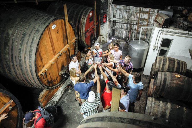 Genuine Douro Valley Tour: Visit 2 Wineries, Lunch & River Cruise - Price, group size, and comfort