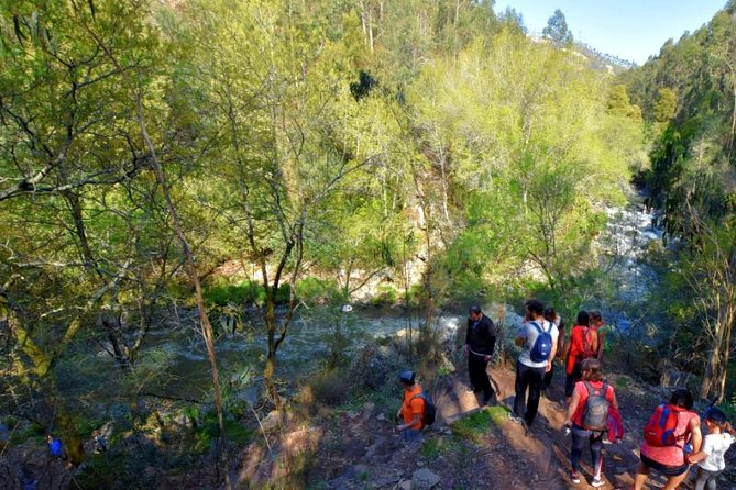 Half-day Hike & Picnic with Dog Love in Porto's Mountains - Why This Works After Several Days in Porto