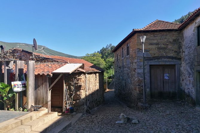 Half-day Hike & Picnic with Dog Love in Porto's Mountains - Should You Book This Porto Mountain Hike?