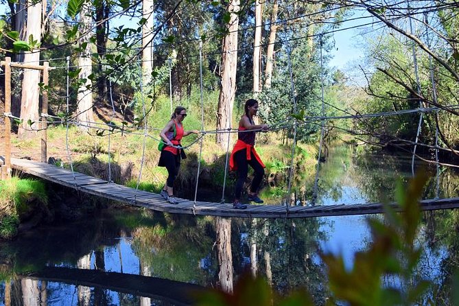Half-day Hike & Picnic with Dog Love in Porto's Mountains - Ricardo and Shy, the Two Guides