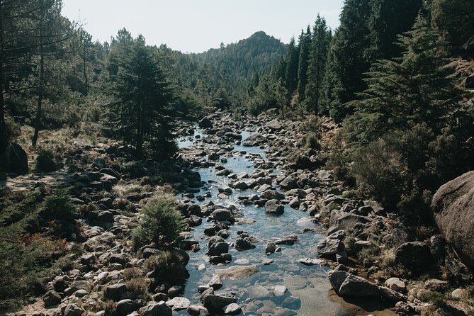Hidden Gems of Peneda-Gerês National Park on a Full-Day Tour - Who should book this park outing