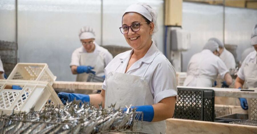 Matosinhos: Conservas Pinhais Factory Tour - Why this cannery tells a bigger Matosinhos story