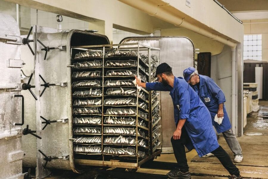 Matosinhos: Conservas Pinhais Factory Tour - Inside the historic Pinhais building