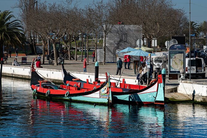 Moliceiro Boat Tour on the Ria de Aveiro - Who should book this Moliceiro tour?