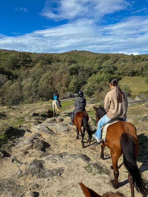 Mountain Horseback Ride & Lunch - Key points to know before booking