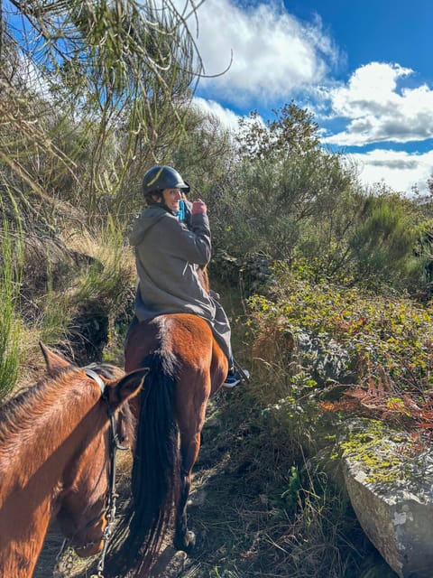 Mountain Horseback Ride & Lunch - Summer sun or winter rain
