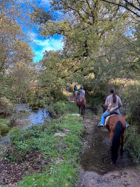 Mountain Horseback Ride & Lunch - A long lunch with local meat and regional flavors