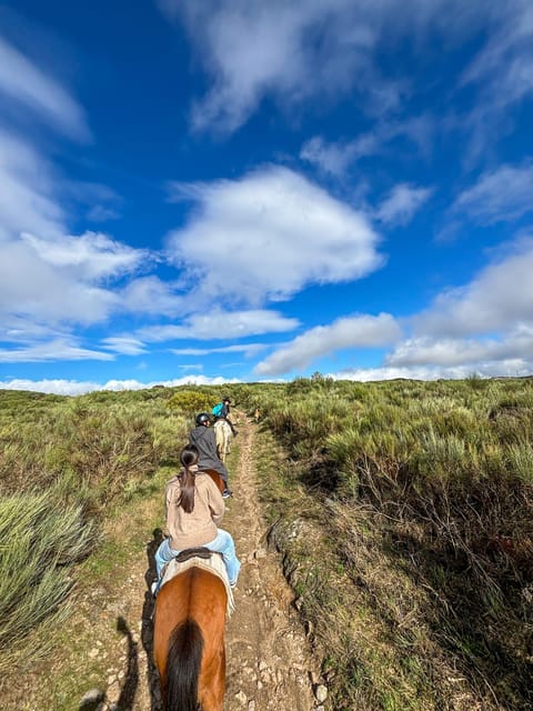Mountain Horseback Ride & Lunch - The 100-minute wine tasting