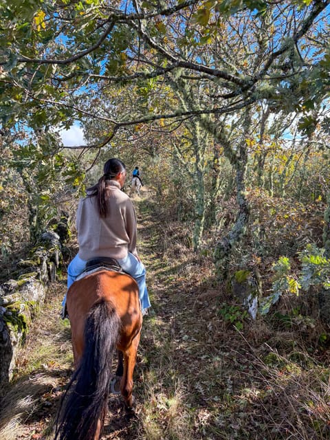 Mountain Horseback Ride & Lunch - What $282 per person gets you