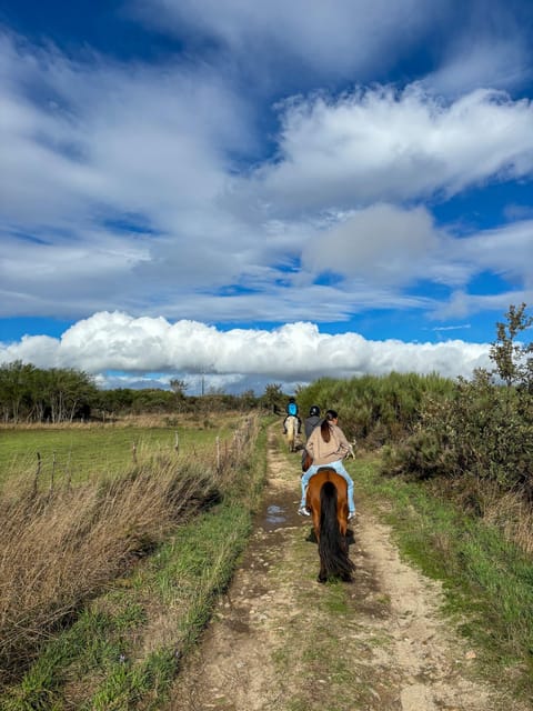 Mountain Horseback Ride & Lunch - Who will enjoy this Douro day most