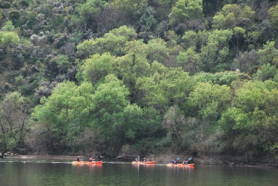 Pinhão: 4 Hour Douro Valley Kayak Rental - Starting at Magnifico Douro Pier in Pinhão