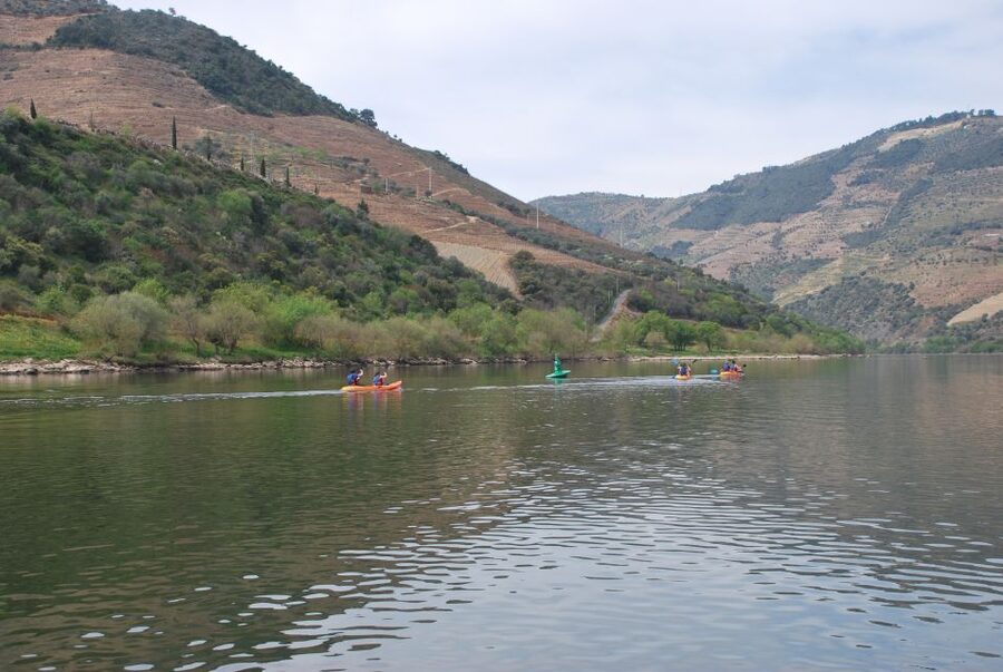 Pinhão: 4 Hour Douro Valley Kayak Rental - Who will enjoy this outing most?