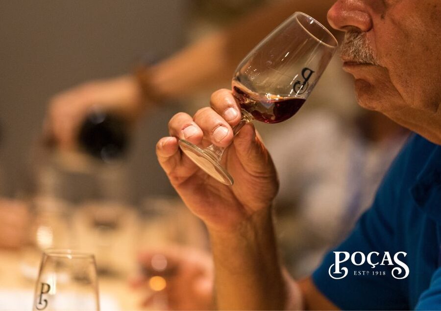 Poças: Guided Tour & Port Wine Tasting with Pastel de Nata - Is the $27 Price Worth It?