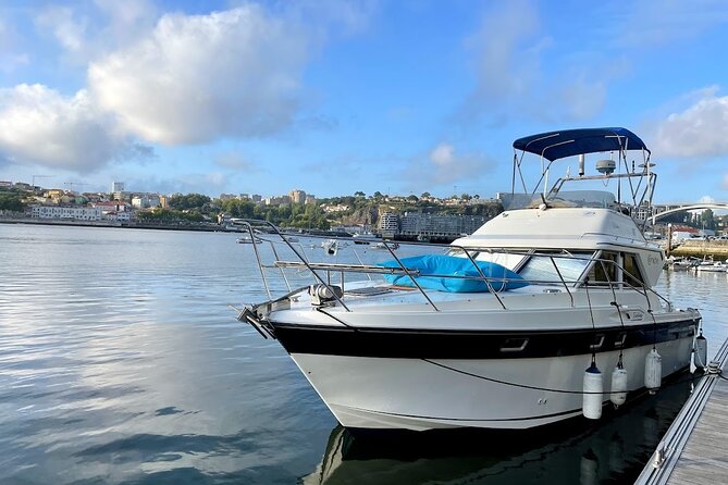 Port : 6 Bridges Cruise With Sunset option & Port wine - Who will get the most from this cruise