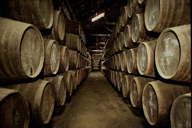 Port Wine Lodges Tour Including 7 Port Wine Tastings (English) - The old cellar, barrels, cork, and a young Ruby