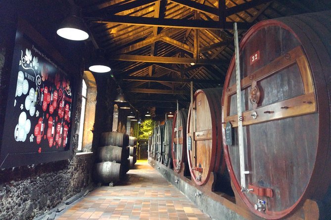 Port Wine Lodges Tour Including 7 Port Wine Tastings (English) - Who should book this experience?