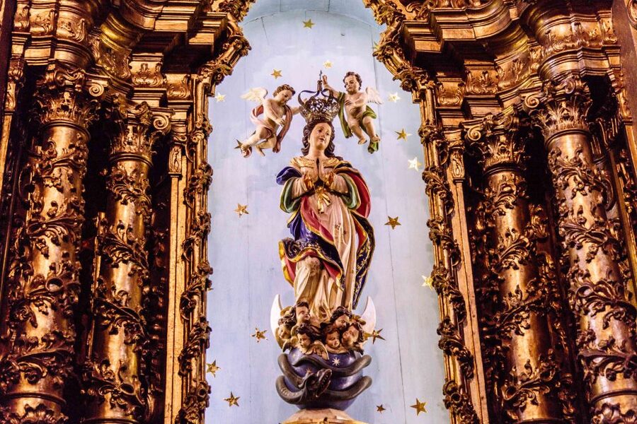 Porto: 1.5-Hour Private Kick-Start Tour with a Local - Who gets the most from this Porto tour