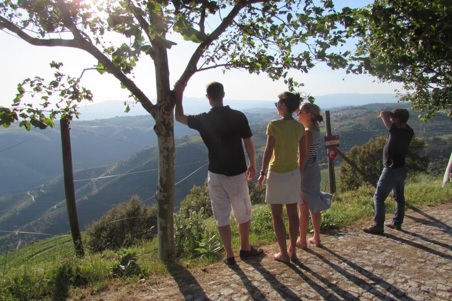 Porto: 3 Douro Valley Vineyards Tour with Lunch - Three Douro wineries in one long day