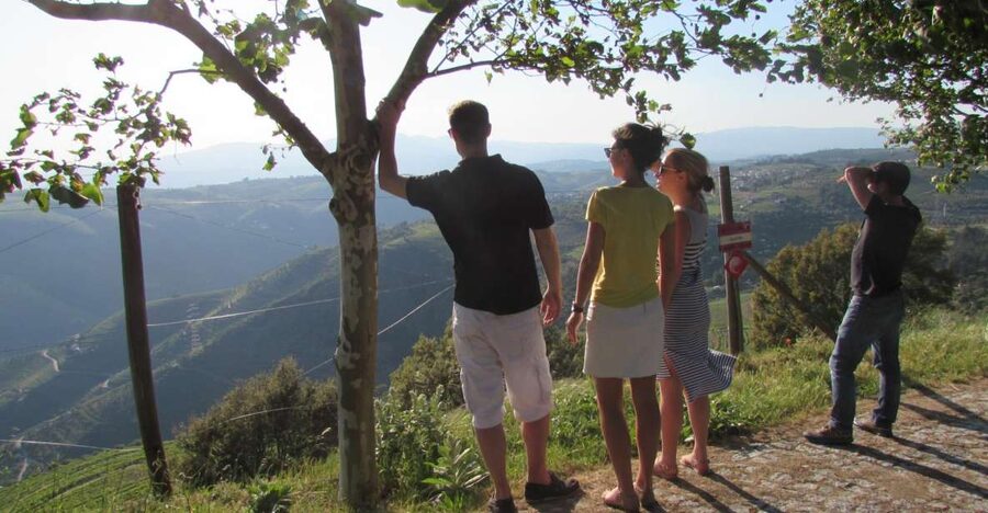 Porto: 3 Douro Valley Vineyards Tour with Lunch - The second stop usually supplies the best setting