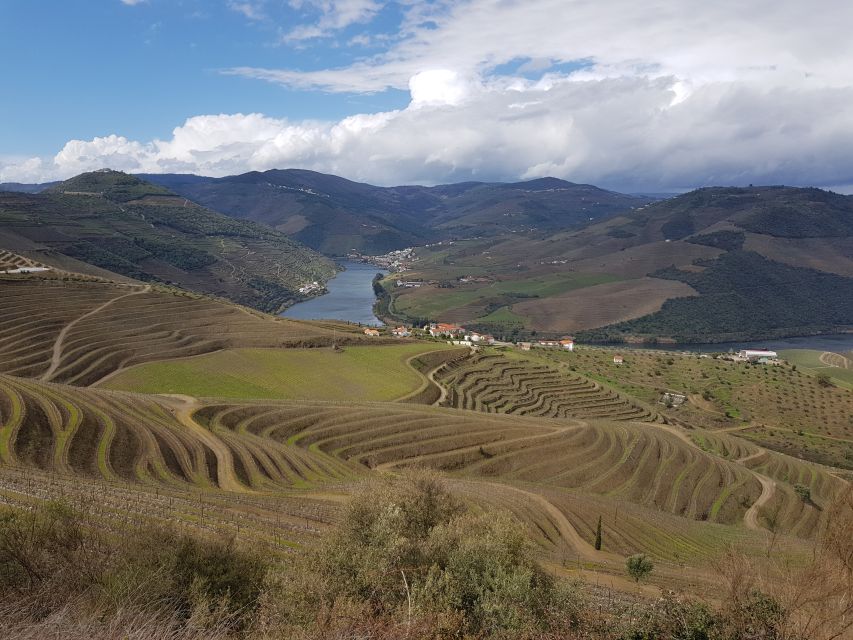 Porto: 3 Douro Valley Vineyards Tour with Lunch - The N222 drive is part of the attraction