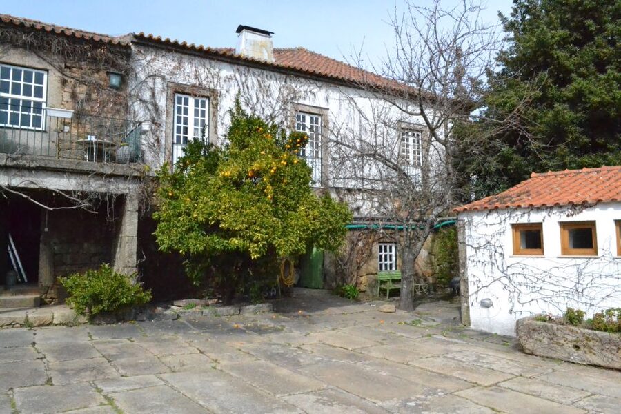 Porto: 3 Douro Valley Vineyards Tour with Lunch - The first vineyard brings wine country down to earth