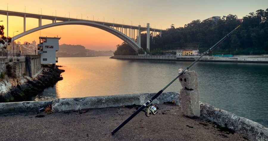 Porto: 3-Hour Bike Tour - Matosinhos and the She Changes sculpture