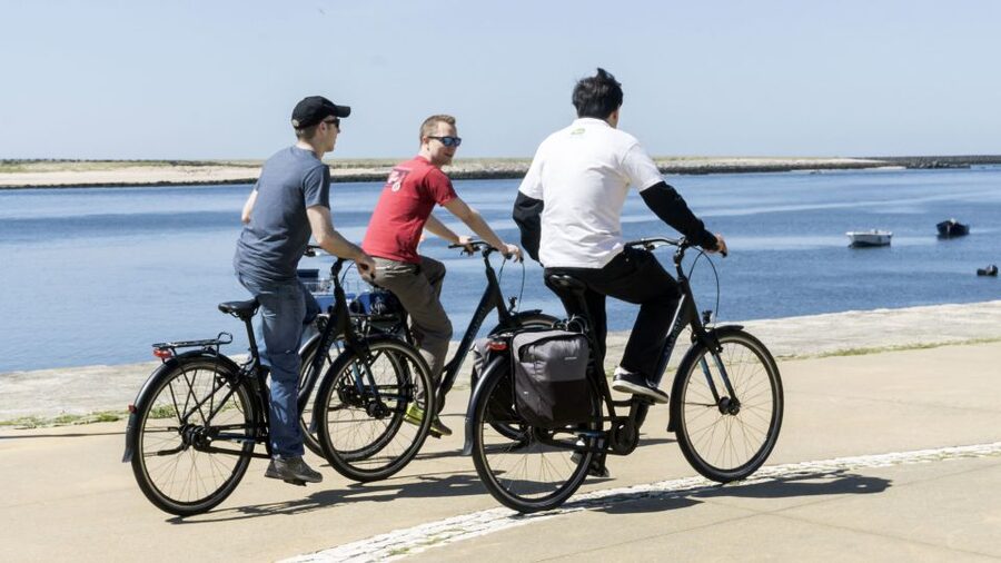 Porto: 3-Hour Bike Tour - Bikes, hills, and riding comfort