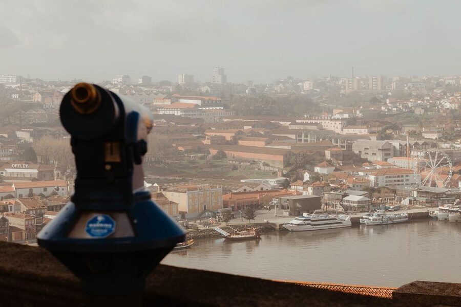 Porto: 3-Hour Guided Walking Tour - Port wine cellars and Porto’s drinking culture