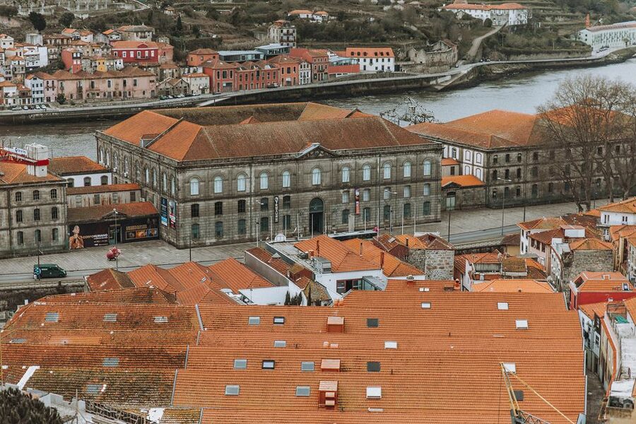 Porto: 3-Hour Guided Walking Tour - Lello, Art Nouveau buildings, and the city’s literary side