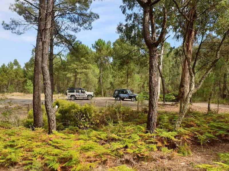Porto: 4x4 Mountain Tour - What makes the guiding valuable