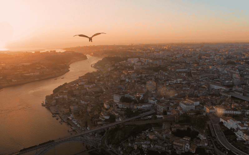 Porto: 5D Flight over de City for all family. - The 5D ride: wind, motion, and city views