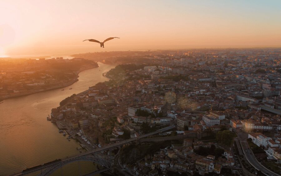Porto: 5D Flight over de City for all family. - Booking flexibility and practical planning