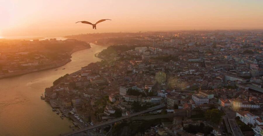 Porto: 5D Flight over de City for all family. - Porto’s monuments from an unusual angle