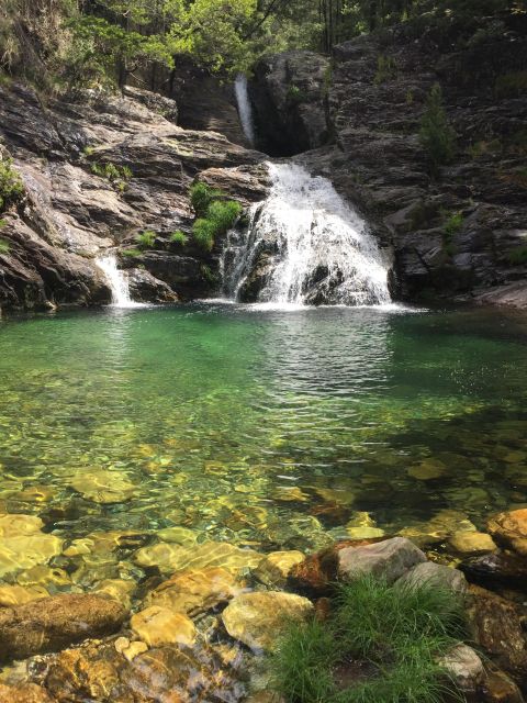 Porto and North coast Exclusive & Secret Waterfalls in 4x4 - The fisherman’s village and fish market