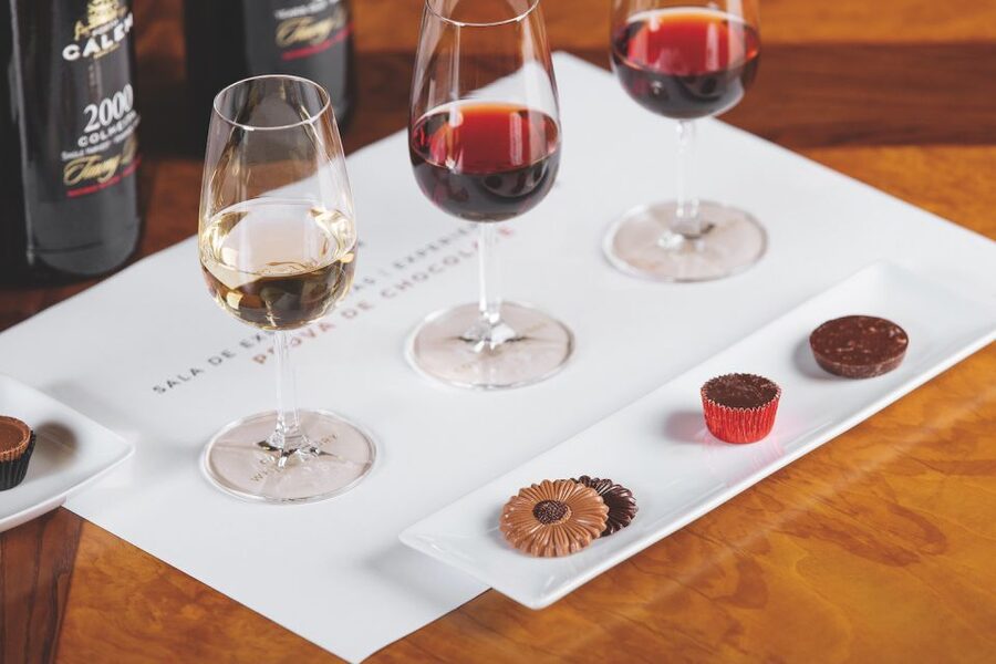 Porto: Cálem Cellar with Chocolate, Cheese, and Wine Tasting - Starting with the Douro and the Cálem story
