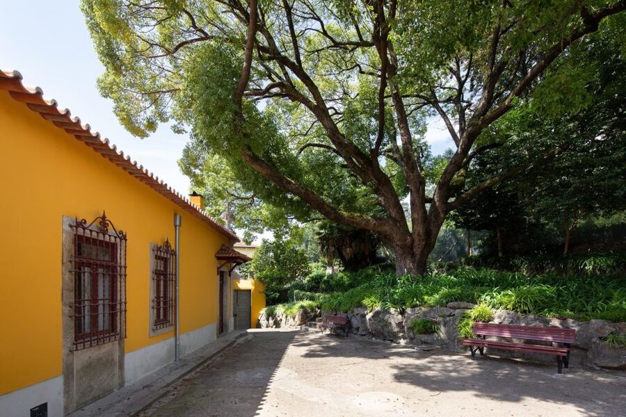 Porto: Casa São Roque Direct Entry Ticket - How much time should you plan?