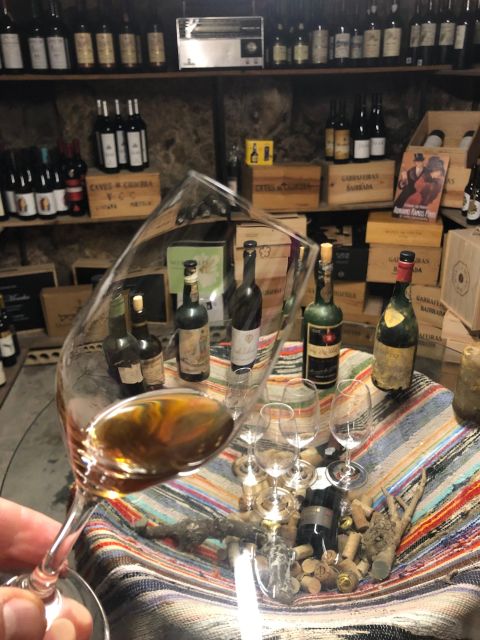 Porto: Cheese and Port Wine Tasting in a Unique Place - Why this Porto tasting feels different