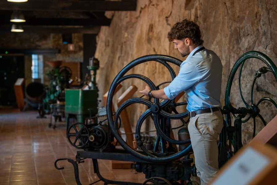Porto City Full Day Minibus Tour, Wine Tasting & Six Brigdes - Key points to know before booking