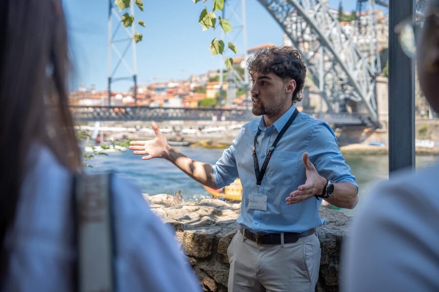 Porto City Full Day Minibus Tour, Wine Tasting & Six Brigdes - Crossing to Gaia for Port wine