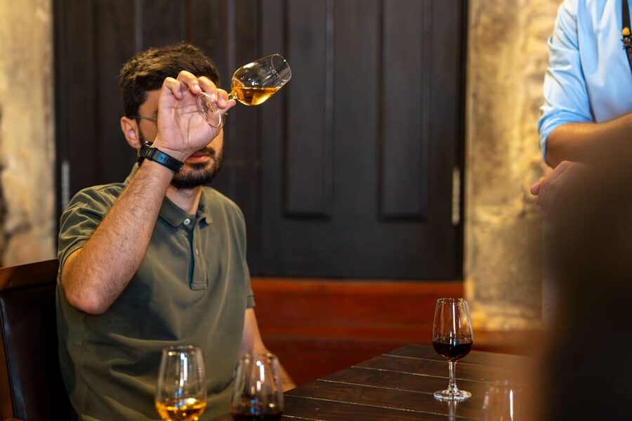 Porto City Full Day Minibus Tour, Wine Tasting & Six Brigdes - Foz, Castelo do Queijo, and the Atlantic