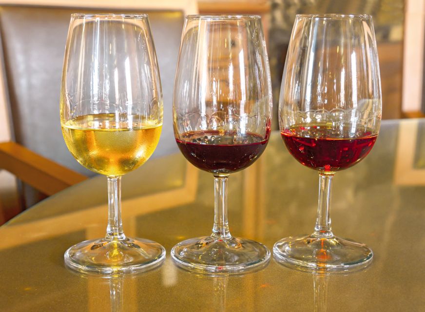 Porto: City Tour, 6 Bridges Cruise and Wine Tasting - Who will get the most from this tour?