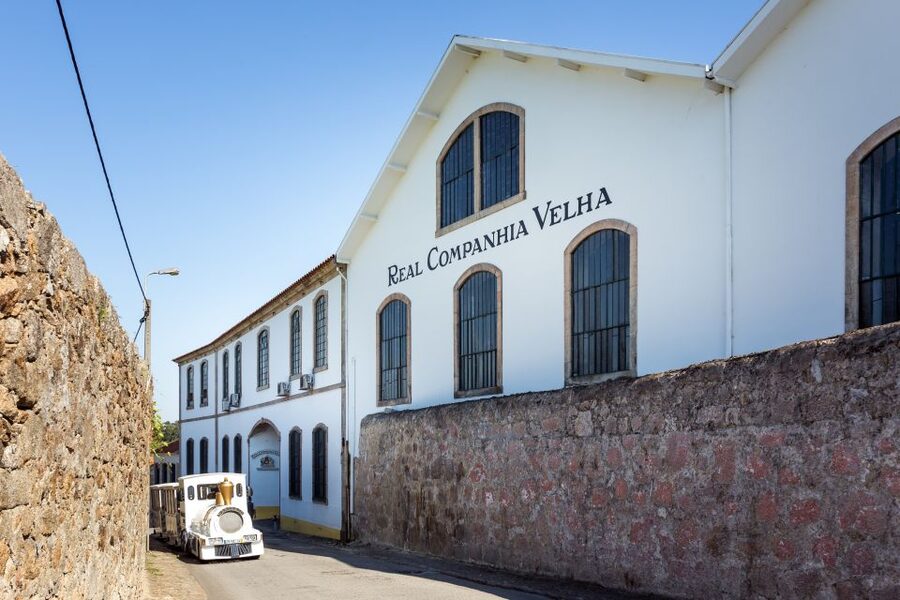 Porto: City Train Tour, River Cruise & Wine Cellar - The Douro cruise from Ribeira